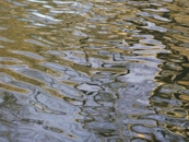 Ripples IX